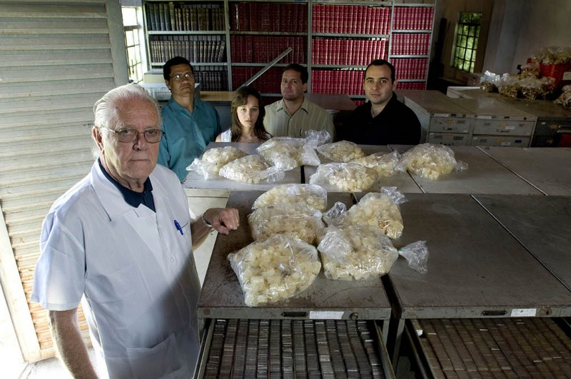 Dr. Mattosinho junto ao acervo